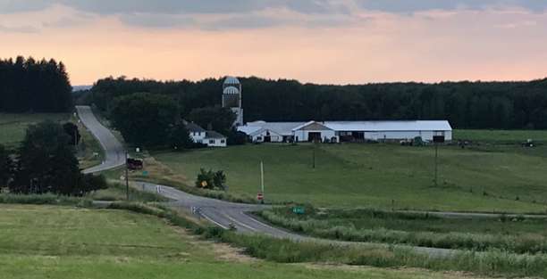 image for Murphys Grass Farm