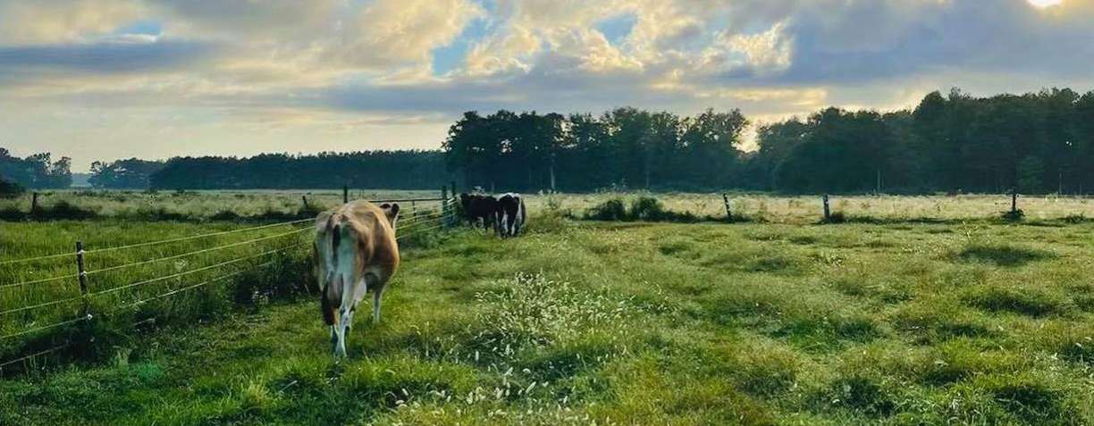 banner image for JRB Dairy, on Nice Farms