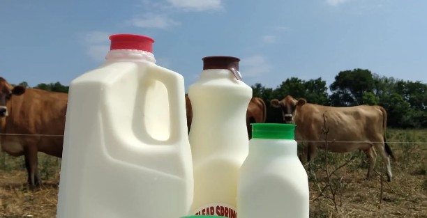 image for Clear Spring Creamery